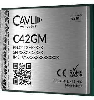 C42GM LTE Cat M1/Cat NB2/NB1 IoT Module
