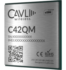 C42QM LTE Cat M1/ NB-IoT Module