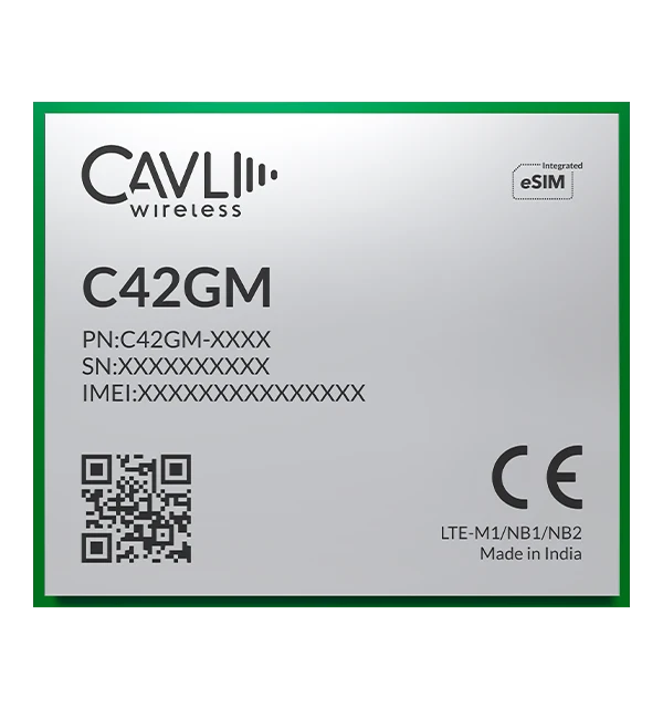 C42GM LTE M1/Cat NB1/NB2 IoT Module