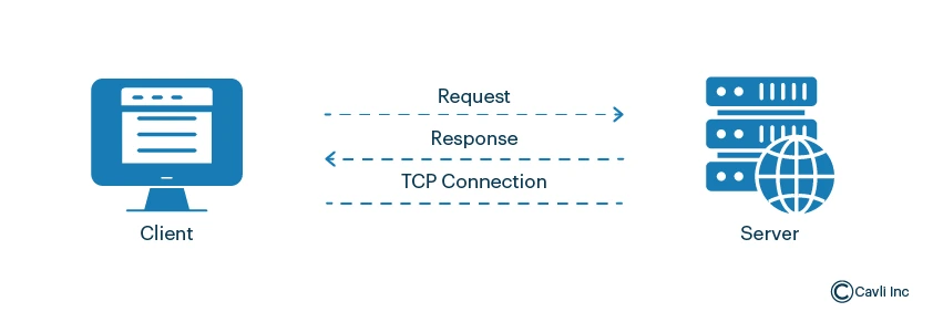 HTTP and HTTPS (Hypertext Transfer Protocol and Secure Hypertext Transfer Protocol)