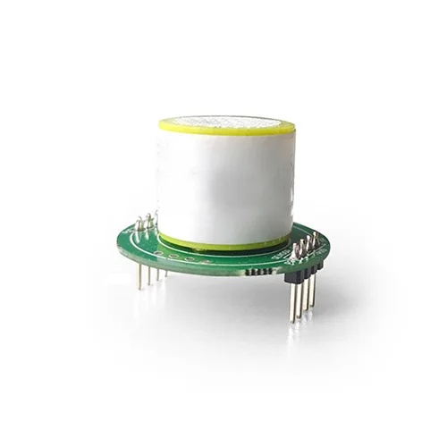 Electrochemical Sensors