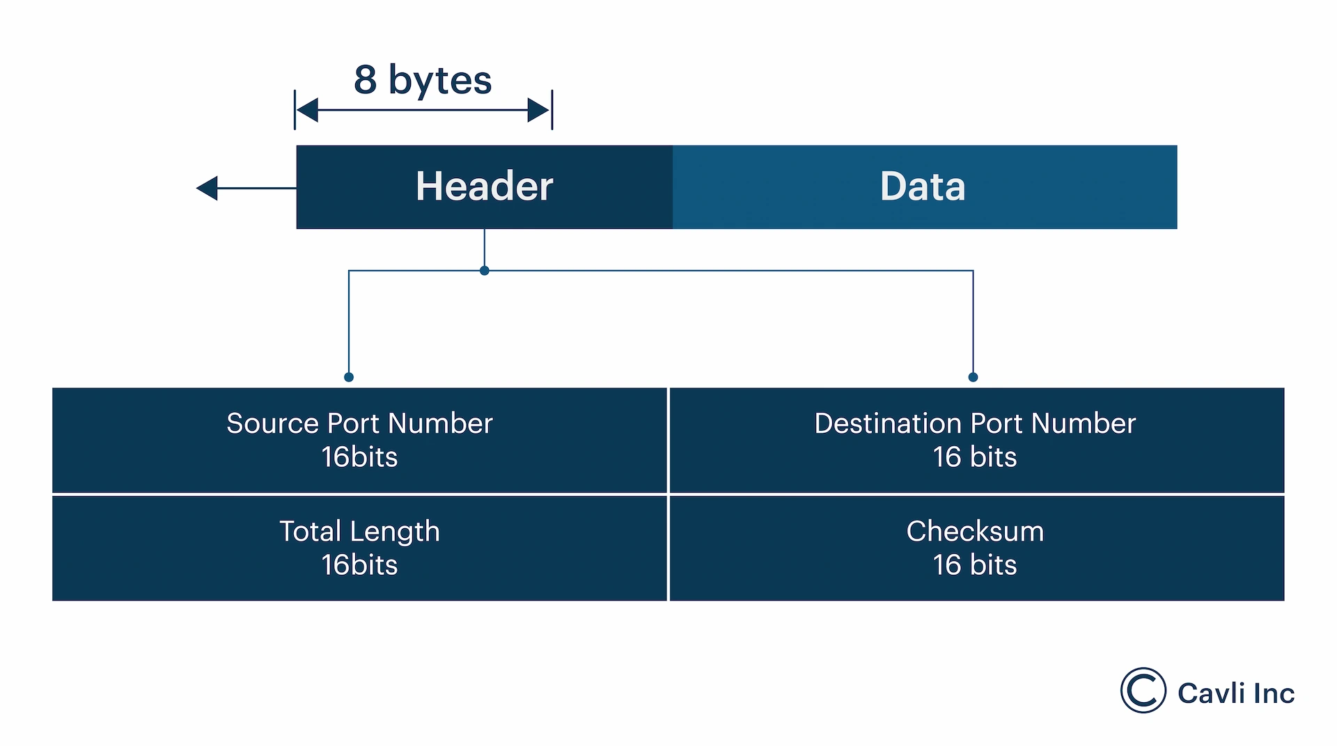 UDP Header Structure